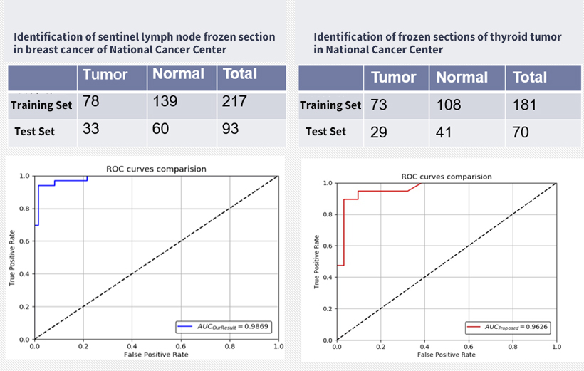 冰凍病理(lǐ)人工(gōng)智能(néng)圖像識别2-EN.jpg